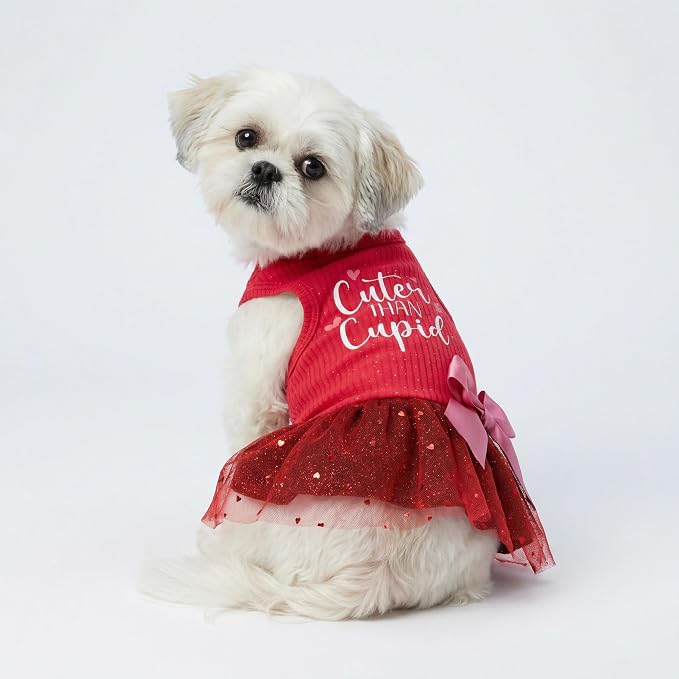 Fitwarm Cuter Than Cupid Dog Tulle Dress, Cute Girl Dog Clothes, Funny Pet Apparel, Burgundy Red, XS