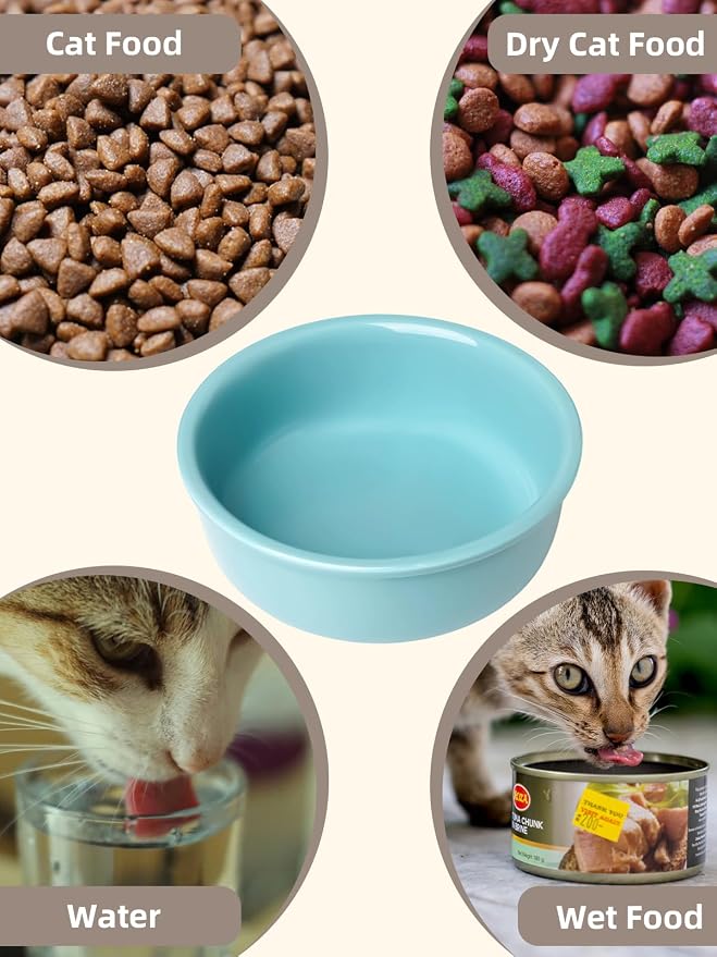 GDCZ Elevated Cat Bowl Stand, 11.6 in Metal Stand with 2 Removable 15 OZ Ceramic Bowls for Pet Food and Water, Stand Reduces Cat Neck Burden, Turquoise
