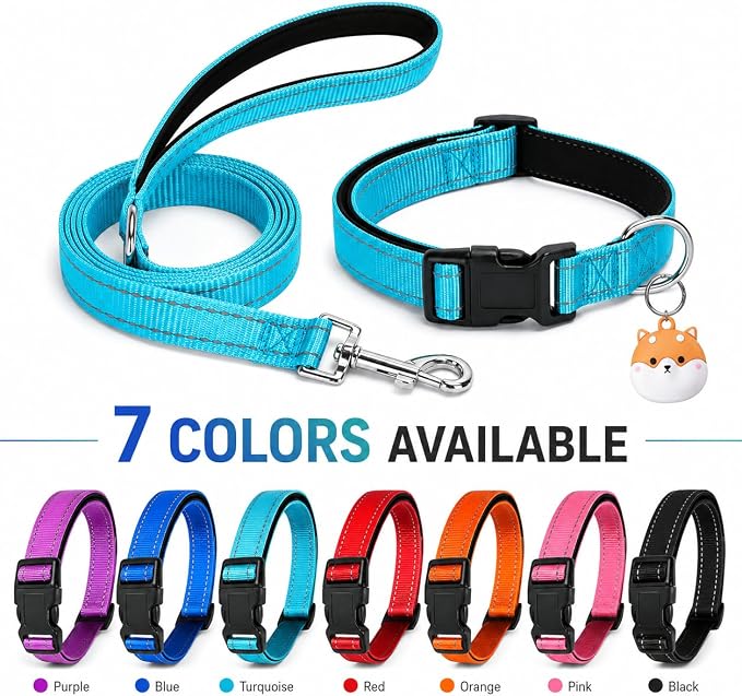 Reflective Soft Neoprene Padded Matching Dog Collar with Leash Airtag Holder Case Set Safety Breathable Adjustable Nylon Dog Collars for X-Small Small Medium Large Dogs-Sky Blue-S