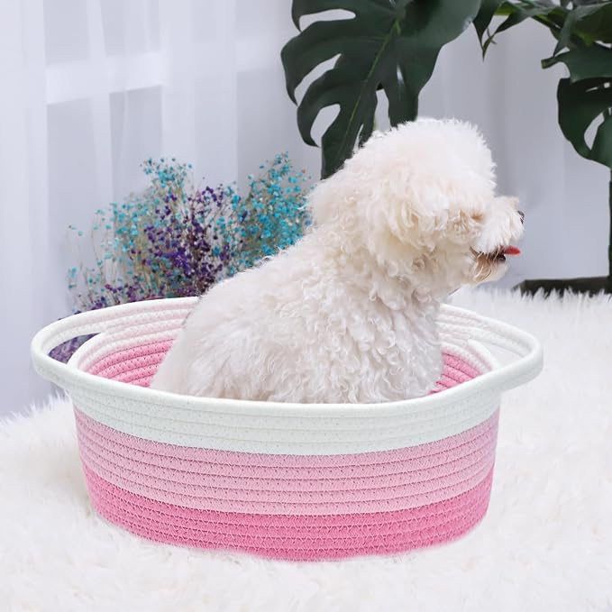 ABenkle Small Basket with Handles, Boho Decorative Rope Woven Dog Cat Toy Storage Bin Shelf Storage Organizer, Easter Christmas Gift Basket, 12"x8"x5"