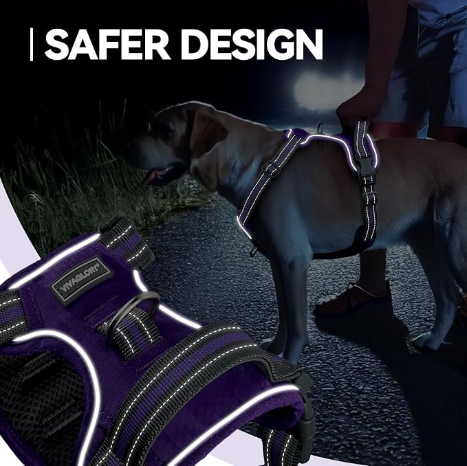 VIVAGLORY No Pull Dog Harness Vest Harness, XS, Purple - Patterned | with Handle Front and Back Clip for Training & Pulling, No Pull & Escape Proof Padded Adjustable for Pet Puppy
