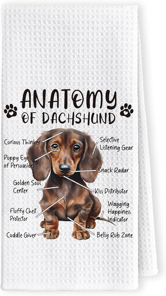 Dachshund Dog Kitchen Towels, Dachshund Lovers Hand Dish Towels for Women & Men, Dog Anatomy Tea Towel for Home Kitchen & Bathroom