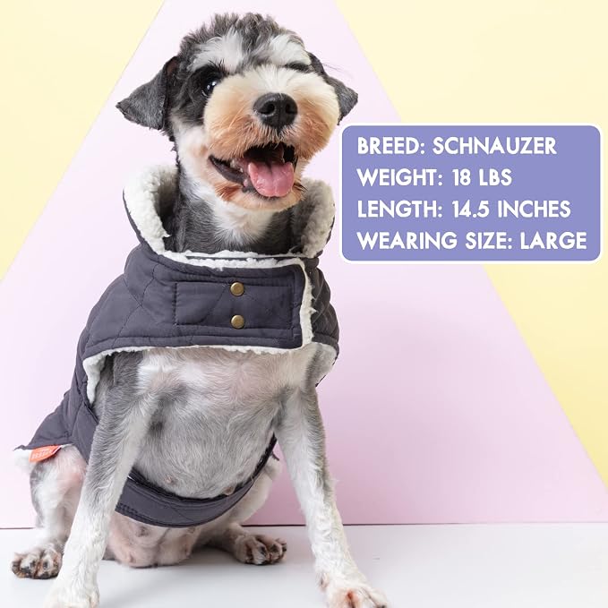 KYEESE Waterproof & Windproof Dog Coat for Small Dogs Puffer Jacket