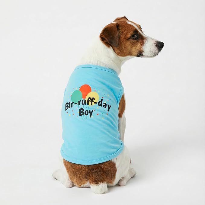 Fitwarm Birthday Boy Dog Shirt, Bir-Ruff-Day Boy Funny Dog Clothes for Small Dogs Boy, Pet Birthday Outfit, Cat Tshirt, 100% Breathable Cotton, Aqua Blue, Small