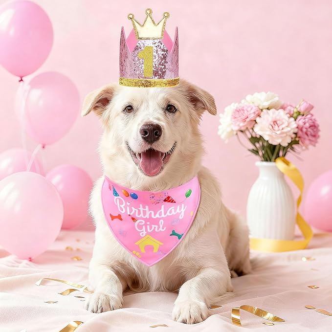 Rensh Dog Birthday Party Supplies, Dog Birthday Bandana Hat with Numbers for X-Large Large Small Pets, Multi Size Birthday Decorations for Dogs and Cats (Pink, X-Large)