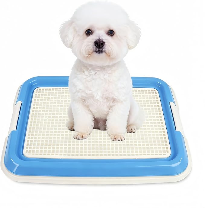 Dog Potty Tray for Small Dogs, Puppy Potty Training Tray 19.7"x14.6" Indoor Dog Toilet, Leak-Proof Pet Pads Holder (Blue)