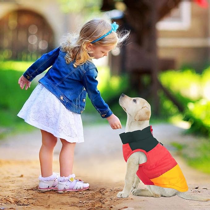 Idepet Pet Dog Cat Coat with Leash Anchor Color Patchwork Padded Puppy Vest Jacket Teddy Chihuahua Costumes Pug Cloth XS S M L (Medium (Pack of 1), Yellow)