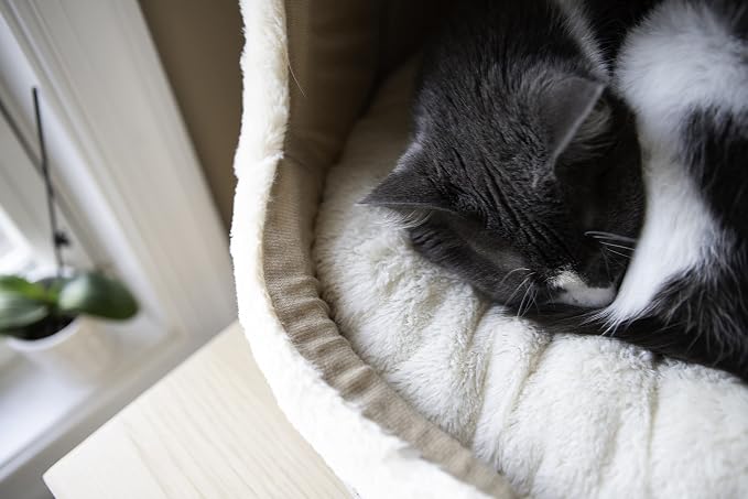 Best Pet Supplies Cat Bed for Indoor Cat, Domed Tent House with Removable Pillow, Covered Cat Cave for Small Dog, Puppies and All Breeds of Cats - Gray, 17 x 15 x H:14"
