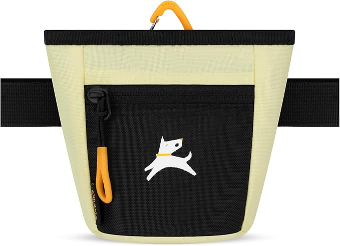 OllyDog, Goodie Treat Bag, Dog Treat Training Pouch | Magnetic Closure | 3 Ways to Wear | Hands-Free Waist Belt | Water-Resistant Recycled Vegan Fabric (Sol)