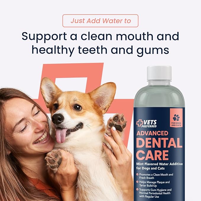 Vets Preferred Dog Breath Freshener & Water Additive for Dental Care – Fights Bad Breath, Removes Tartar & Plaque – Dog Mouthwash for Healthy Teeth & Gums, Gingivitis Support – Mint Flavor
