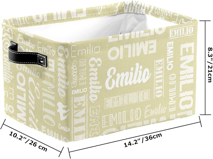 Personalized Toy Box Storage Bins for Boys Girls with Name, Kids Custom Storage Basket Cubes Organizer with Handles, Shelf Closet Storage Baskets Bin Customized Gift, 1 Pack