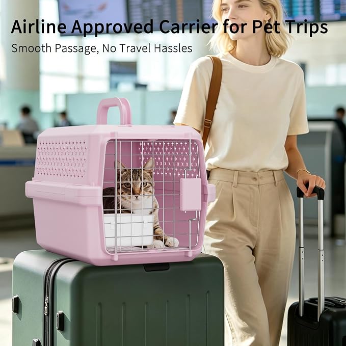 XS Hard Pet Carrier: Travel Crate for Small Cats & Dogs 10 lbs | Secure Locking Wire Door / Compact 16.9" x 12" x 11.8" / Multi-Side Ventilation / Lightweight Shell / Includes Food Bowl