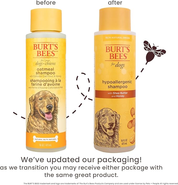 Burt's Bees for Pets Hypoallergenic Dog Shampoo with Shea Butter and Honey, Gentle Fragrance Free Shampoo for Sensitive Dogs with 95% Natural Origin Skin and Coat Formula, 16 Fl Oz