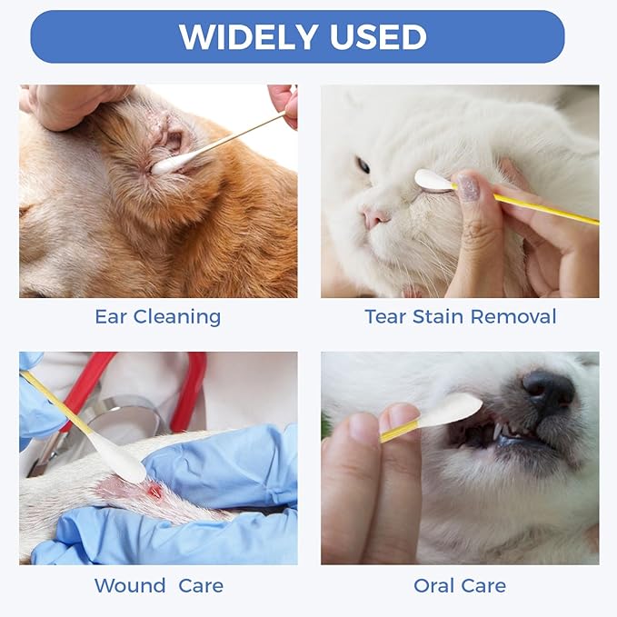 GOLD HONEY 6 Inch Large Cotton Swabs, 500PCS Dog Ear Swabs with Bamboo Handle for Dogs, Pet-Specific, Gentle Design, Lint-Free, Pet Cotton Stick Ear Cleaning