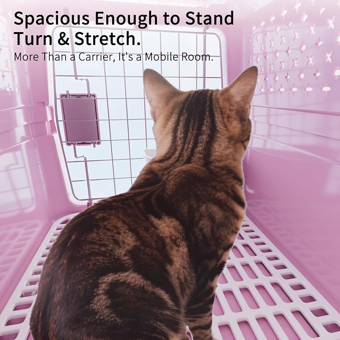 XS Hard Pet Carrier: Travel Crate for Small Cats & Dogs 10 lbs | Secure Locking Wire Door / Compact 16.9" x 12" x 11.8" / Multi-Side Ventilation / Lightweight Shell / Includes Food Bowl