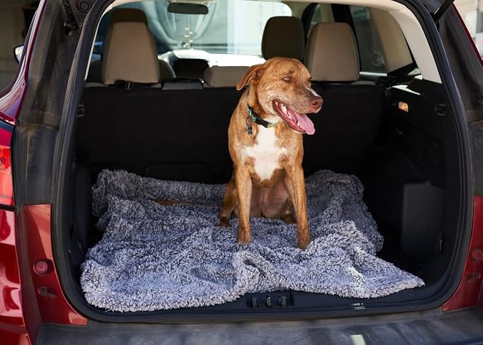 PET Parents Premium CAT, Puppy and Dog Blanket, Slate, Medium