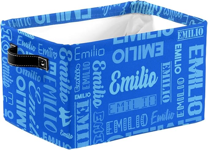 Personalized Toy Box Storage Bins for Boys Girls with Name, Kids Custom Storage Basket Cubes Organizer with Handles, Shelf Closet Storage Baskets Bin Customized Gift, 1 Pack