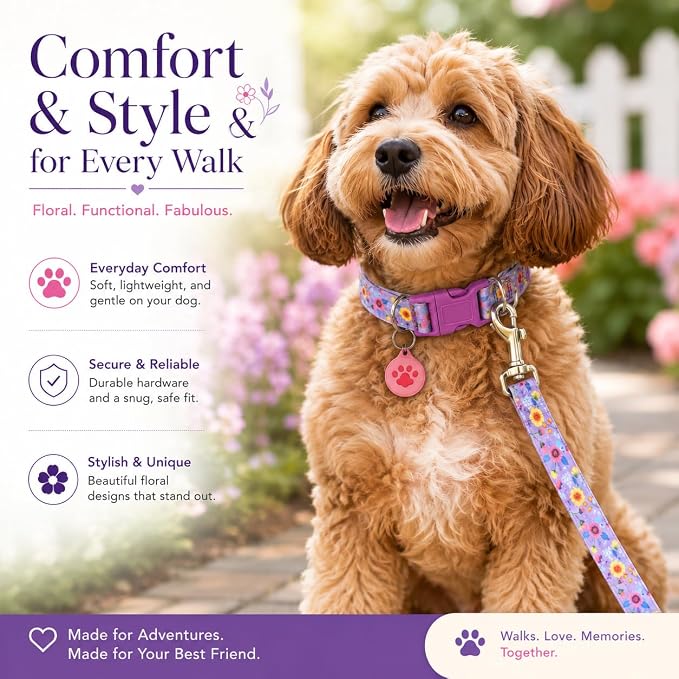Floral Matching Dog Collar and Leash Set with AirTag Holder-Purple Daisy/S | Anti-Lost,Adjustable Durable Pet Collar Leash Combo for Small Boy Girl Dogs,for Outdoor Walking Hiking Training Running