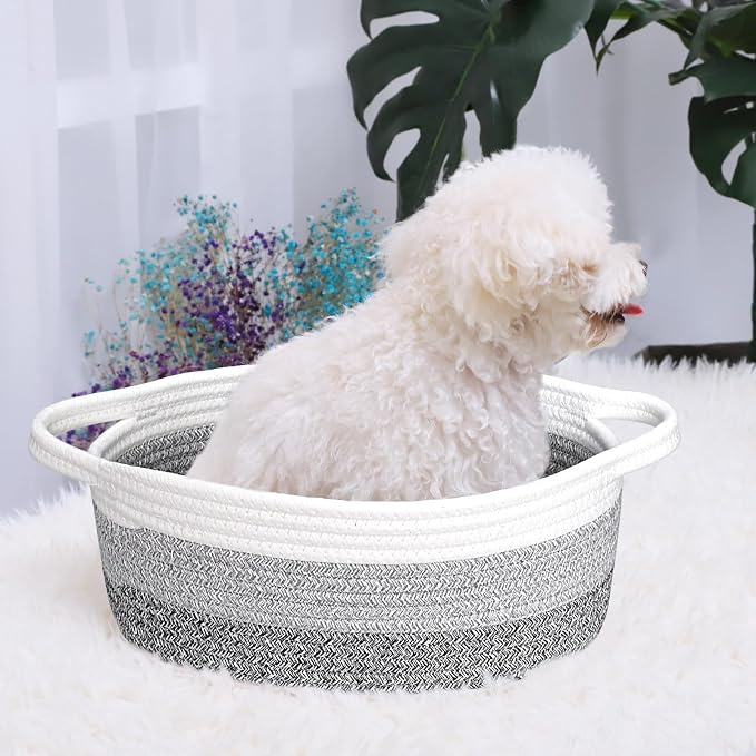 ABenkle Small Basket with Handles, Boho Decorative Rope Woven Dog Cat Toy Storage Bin Shelf Storage Organizer, Easter Christmas Gift Basket, 12"x8"x5"