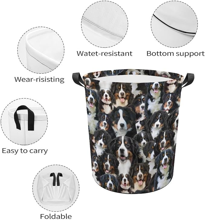 Bernese Mountain Dog Laundry Basket, Collapsible Laundry Hamper with Handles, Bernese Mountain Dog Laundry Hamper, Foldable Waterproof Clothes Hamper for Bedroom Bathroom