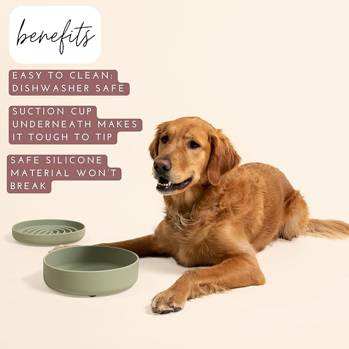 Should We Go? Dog Water Bowl - The Perfect Dish No-Spill, Less Mess Non-Tippable Water & Food Bowl, Pure Silicone with Suction Cup, Fits 8 Cups 9.5" Across x 2.5" Tall, Ideal for All Pets, Large-Blush