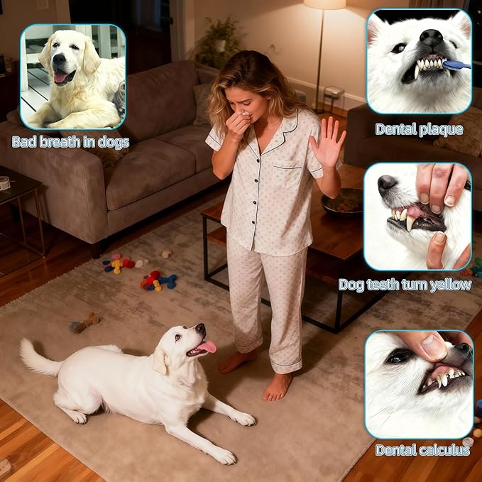 Dog Toothbrush, 360° & Double-Headed Dog Dental Care Kit for Small & Large Dogs, Pet Finger Toothbrush & Toothbrush Set for Effective Plaque Removal, Clean Teeth, Fresh Breath, and Gum Health