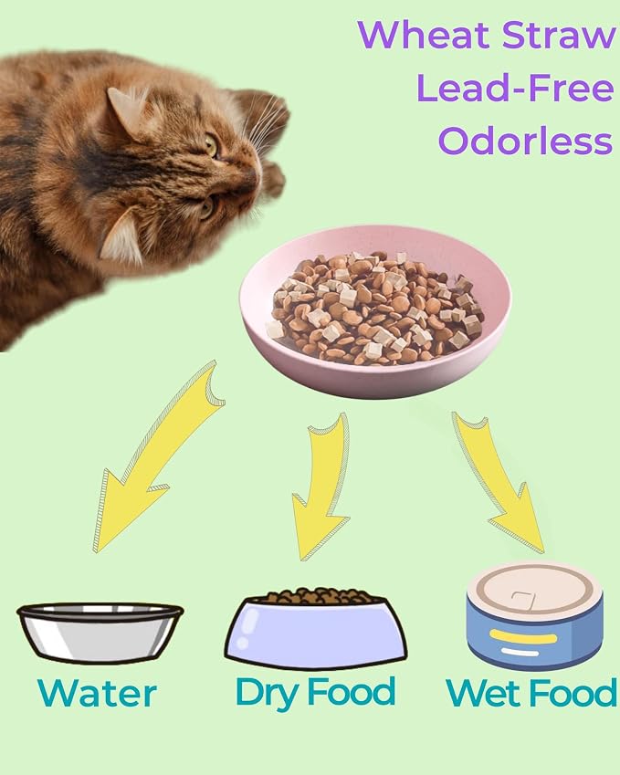 12-Pack Cat Food Bowl with Non-Slip Feet, Whisker Fatigue Cat Dishes for Food, Plastic Cats Bowls Set for Multi-Cats Homes, 5.5" Wide Shallow Relief Kitten Bowls BPA-Free, Dishwasher Safe