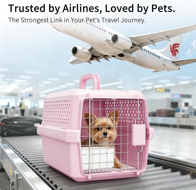 XS Hard Pet Carrier: Travel Crate for Small Cats & Dogs 10 lbs | Secure Locking Wire Door / Compact 16.9" x 12" x 11.8" / Multi-Side Ventilation / Lightweight Shell / Includes Food Bowl