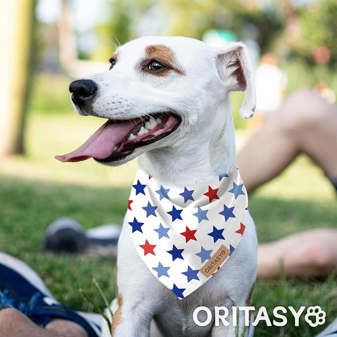 Checkered 4th of July Dog Bandanas, 2-Pack Triangle Reversible Pet Scarves, Premium Fabric, US American Flag Bandana for All Dogs (X-Large, Style 25-1)