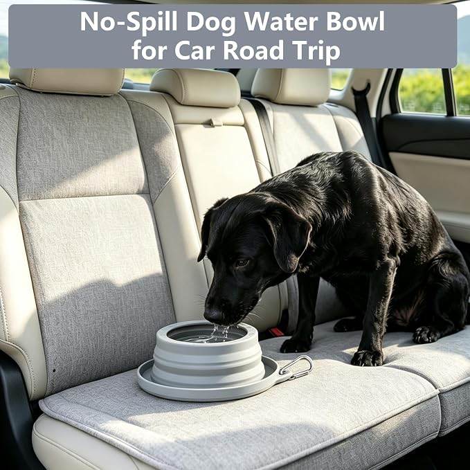 Spill Proof Dog Water Bowl for Car Road Trip, Collapsible Pet Travel Bowl | Silicone Foldable Dog Bowl, No Splash Water Dish on Car, Ant Away Food Feeder Travel Bowl for Pets Camping Hiking Trips