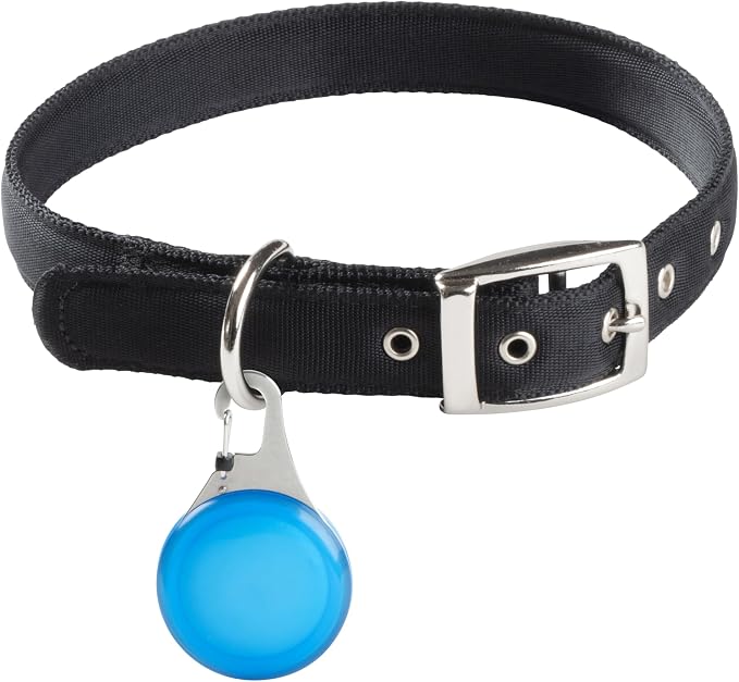 Nite Ize Wearabout Pet Clippable Tracker Holder - Compatible with Apple AirTag - Pet Tracker Keychain & Carabiner Clip - Lightweight Holder with SlideLock Case, Steel Clip & Wire Gate - Blue (2 Pack)