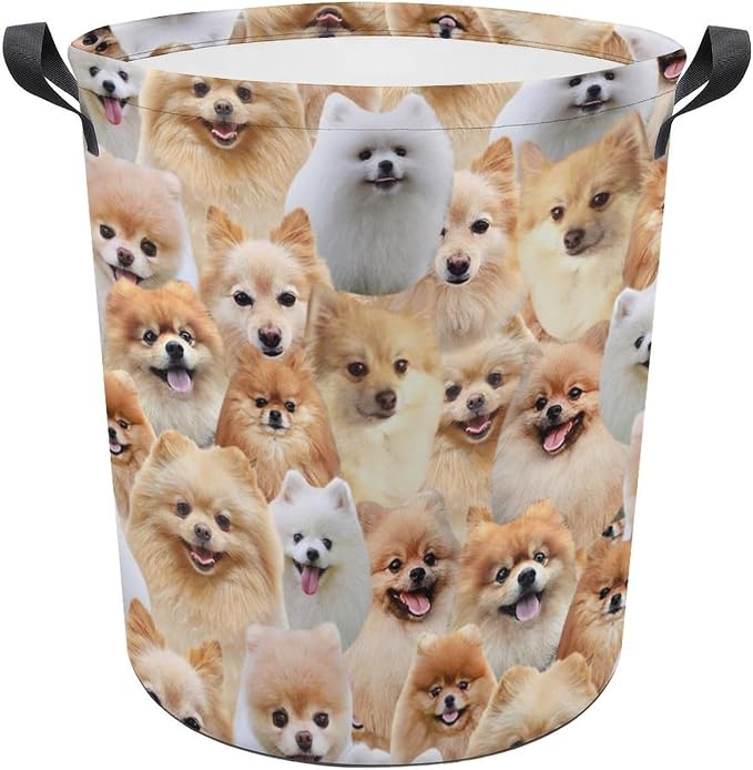 Large Laundry Hamper for Pomeranian Lover, Cute Pomeranian Dog Print Laundry Basket, Collapsible Storage Bin, Waterproof Organizer for Bedroom Bathroom, Gifts for Pomeranian Mom Dog Owner
