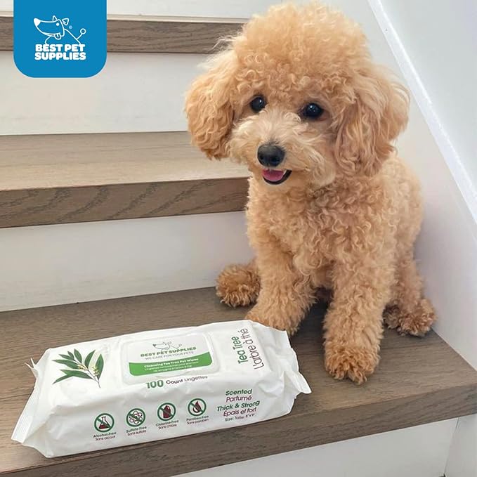 Best Pet Supplies Pet Grooming Wipes for Dogs & Cats,Deodorizer for Coats & Dry, Itchy, or Sensitive Skin, Clean Ears, Paws, Body, & Butt - Cleansing Tea Tree