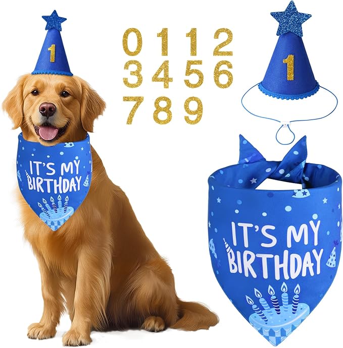 Blue Dog Birthday Party Supplies with Hat Bandana Numbers | Dog Birthday Set for Small Boy Pets Puppy Cats