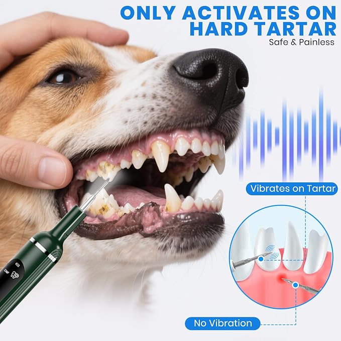 Dog Plaque Remover for Teeth,Pet Ultrasonic Tooth Cleaner,Green | dog teeth cleaning,plaque remover for teeth,dog tartar and plaque remover,plaque off for dogs,5 Mode Pet Teeth Cleaning Kit
