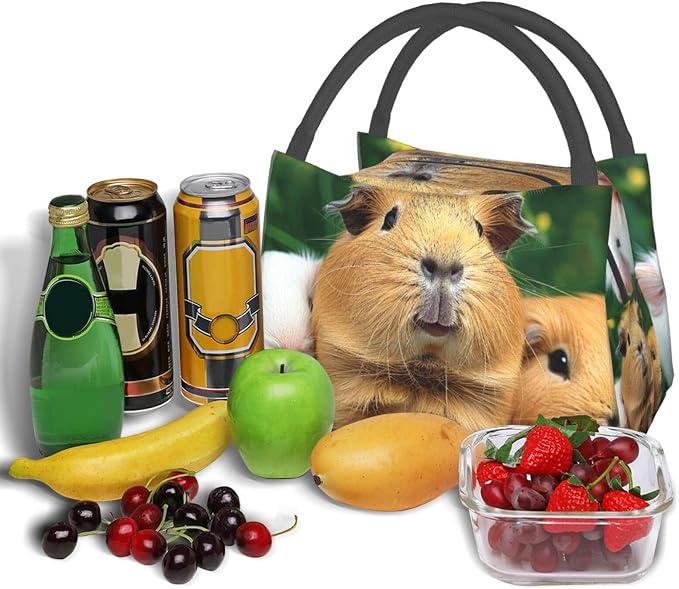 Cute Pet Printed Insulated Lunch Tote Bag for Men Women Reusable Lunch Box Cooler Bags Wide Open Lunch Organizer for Work Travel Picnic