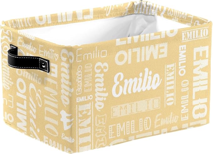 Personalized Toy Box Storage Bins for Boys Girls with Name, Kids Custom Storage Basket Cubes Organizer with Handles, Shelf Closet Storage Baskets Bin Customized Gift, 1 Pack