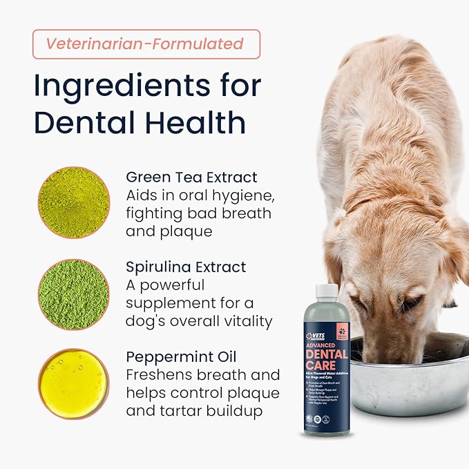 Vets Preferred Dog Breath Freshener & Water Additive for Dental Care – Fights Bad Breath, Removes Tartar & Plaque – Dog Mouthwash for Healthy Teeth & Gums, Gingivitis Support – Mint Flavor