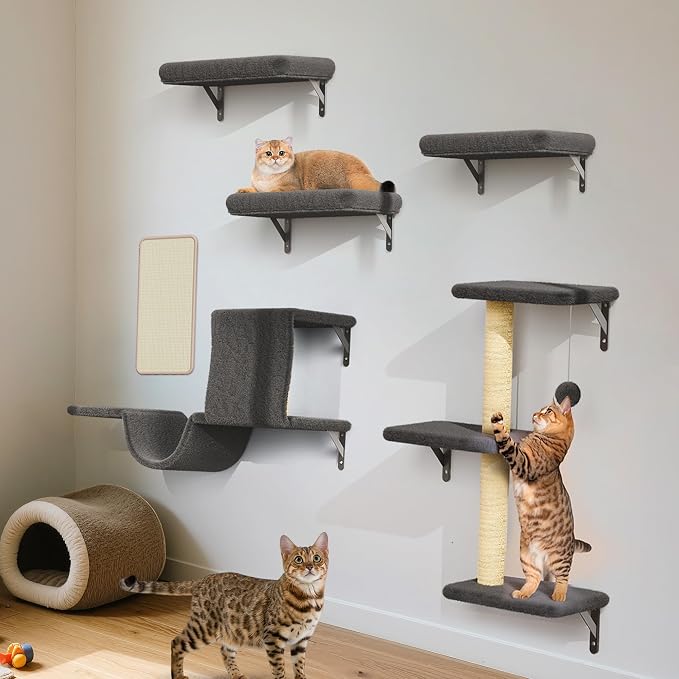 6-in-1 Wall Mounted Cat Climber Set for Heavy Cats,Wall Shelves,Stable & Safe Cat Furniture Set for Large Cats, Wooden Climbing Wall with Scratching Post (Black)