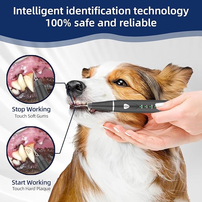 Plaque Remover for Teeth, Pet Ultrasonic Cleaner, Dog Plaque and Tartar Remover with LED Light, Dog Teeth Cleaning Dental Care Kit for Tartar and Stains, Suitable for Dogs and Cats (Black)