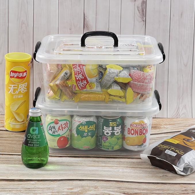 Quickquick 8 L Plastic Latching Box with Handle, Clear Storage Bins, 2-Pack