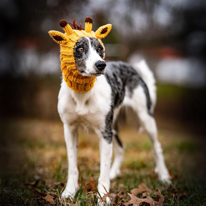 Zoo Snoods Giraffe Costume - Knit Dog Snood Ear Wrap for Pets, Warm Neck Cover for Halloween and Winter (Small)