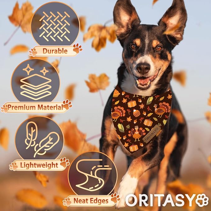 Thanksgiving Fall Dog Bandanas, 2-Pack Triangle Reversible Turkey Pumpkin Pet Scarves, Premium Fabric, Bandana for All Boys Girls Dogs (Large, Style 1)