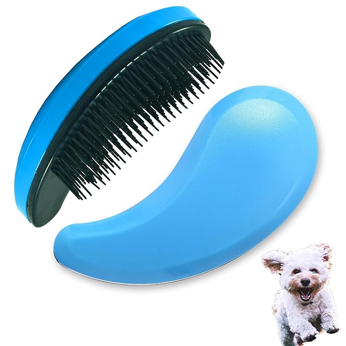 Small Dog Brush, Soft Pet Grooming Brush for Shih Tzus, Yorkies, Maltipoos, Maltese, Puppy Massaging Hair Brush, Cat Brush, for Small Animals Rabbits of All Hair Types (Blue)