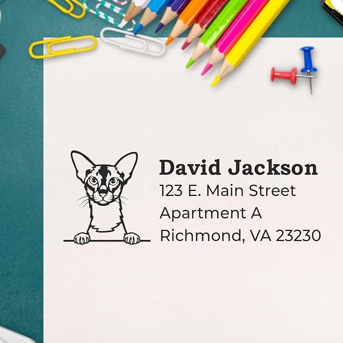 Peeking Colorpoint Shorthair Cat Wood Handle Address Stamp - Custom Stamp | Personalised Address Stamp for Cat Owner Gifts. Address Stamp with Colorpoint Shorthair Cat. 4 lines of custom text.