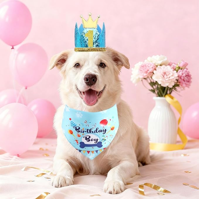 Rensh Dog Birthday Party Supplies, Dog Birthday Bandana Hat with Numbers for X-Large Large Small Pets, Multi Size Birthday Decorations for Dogs and Cats (Blue, Large)