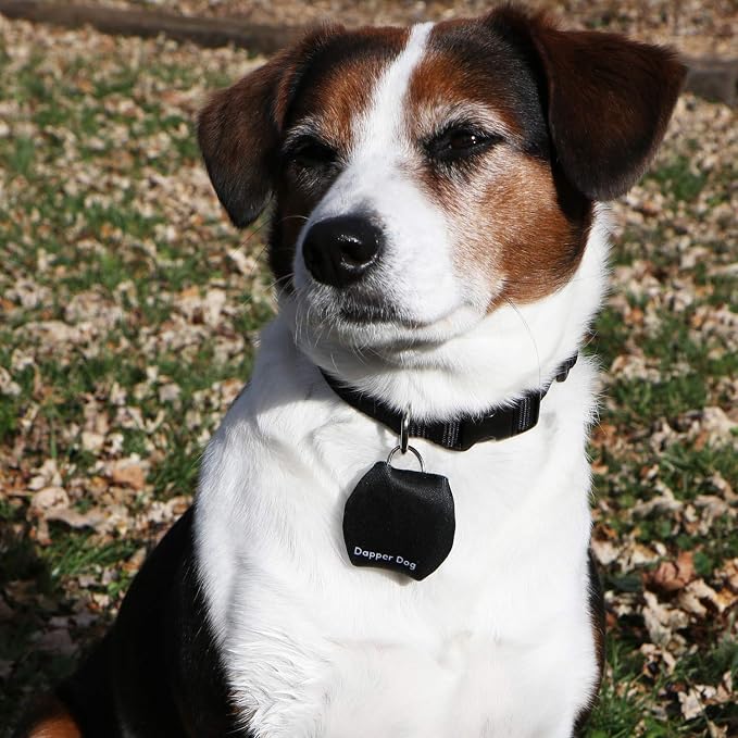 Dapper Dog - Dog Tag Silencer with Tag Ring (Black)
