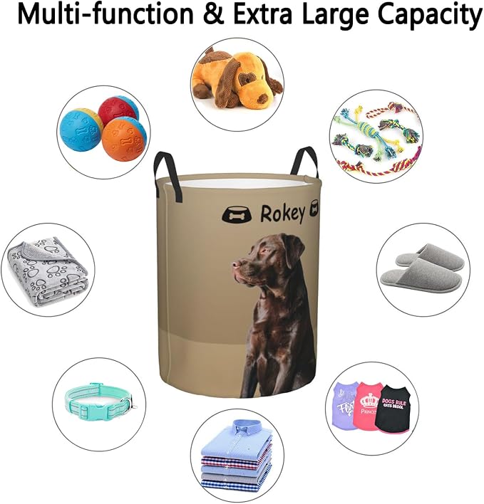 Personalized Large Dog Toy Storage Basket Bin Collapsible Custom Pet Stuff Box Chest Container for Living Room Organizer for Dog Toys,Dog Food,Blankets,Clothing (Latte)