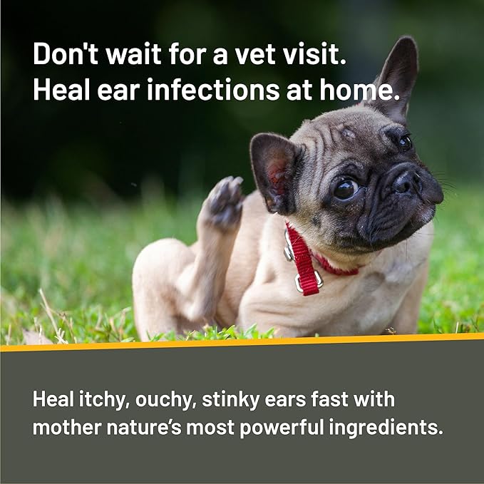 Absorbine Silver Honey Rapid Ear Care Vet Strength Ear Cleaner + Infection Treatment, 10-Day Regimen for 1 Ear, Safe for Dogs & Cats, Medical Grade Manuka Honey & MicroSilver BG