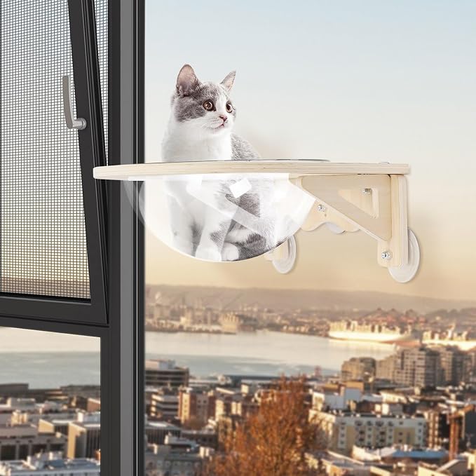 Wall-Mounted Clear Cat Bed Space Capsule - Modern Wooden Cat Wall Shelves for Indoor Cats with Strong Suction Cups, Holds Up to 16.5 lbs